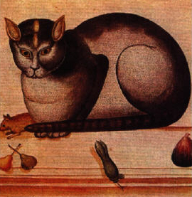 Le chat de Syrie décrit par Aldrovandi au 16ème siècle